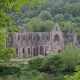 Tintern Abbey