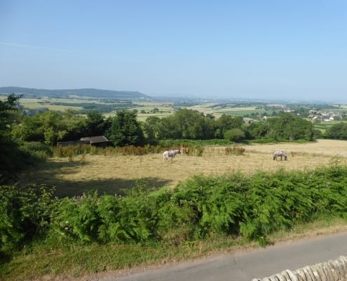 View from Perrycliff